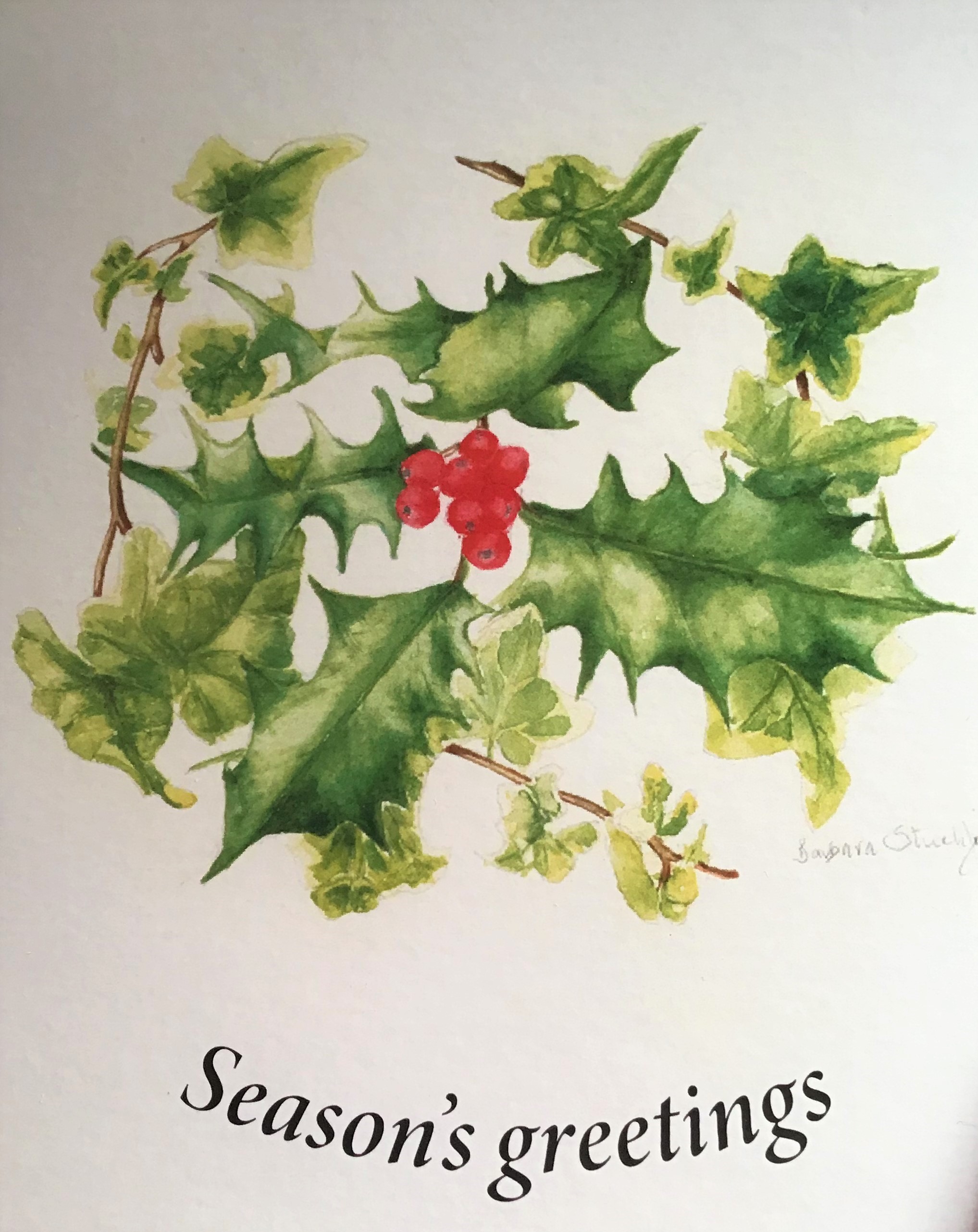 Christmas Card by Barbara Stuchfield